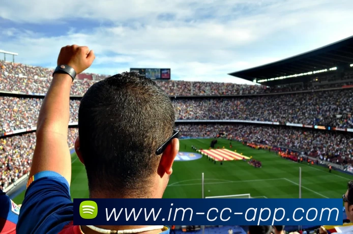 IM体育品牌故事