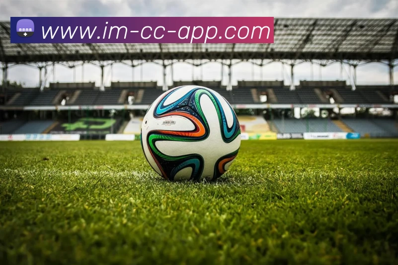 IM体育服务体系